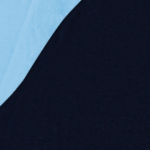 Blue Navy