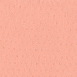 Coral Pointelle