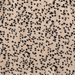 Dalmation